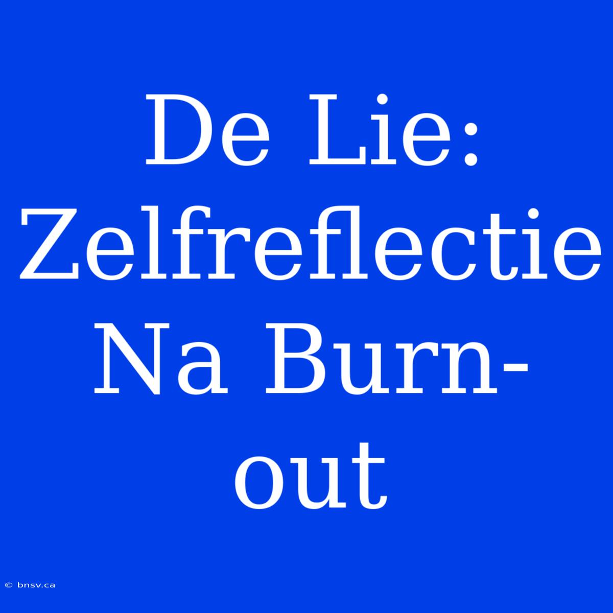 De Lie: Zelfreflectie Na Burn-out