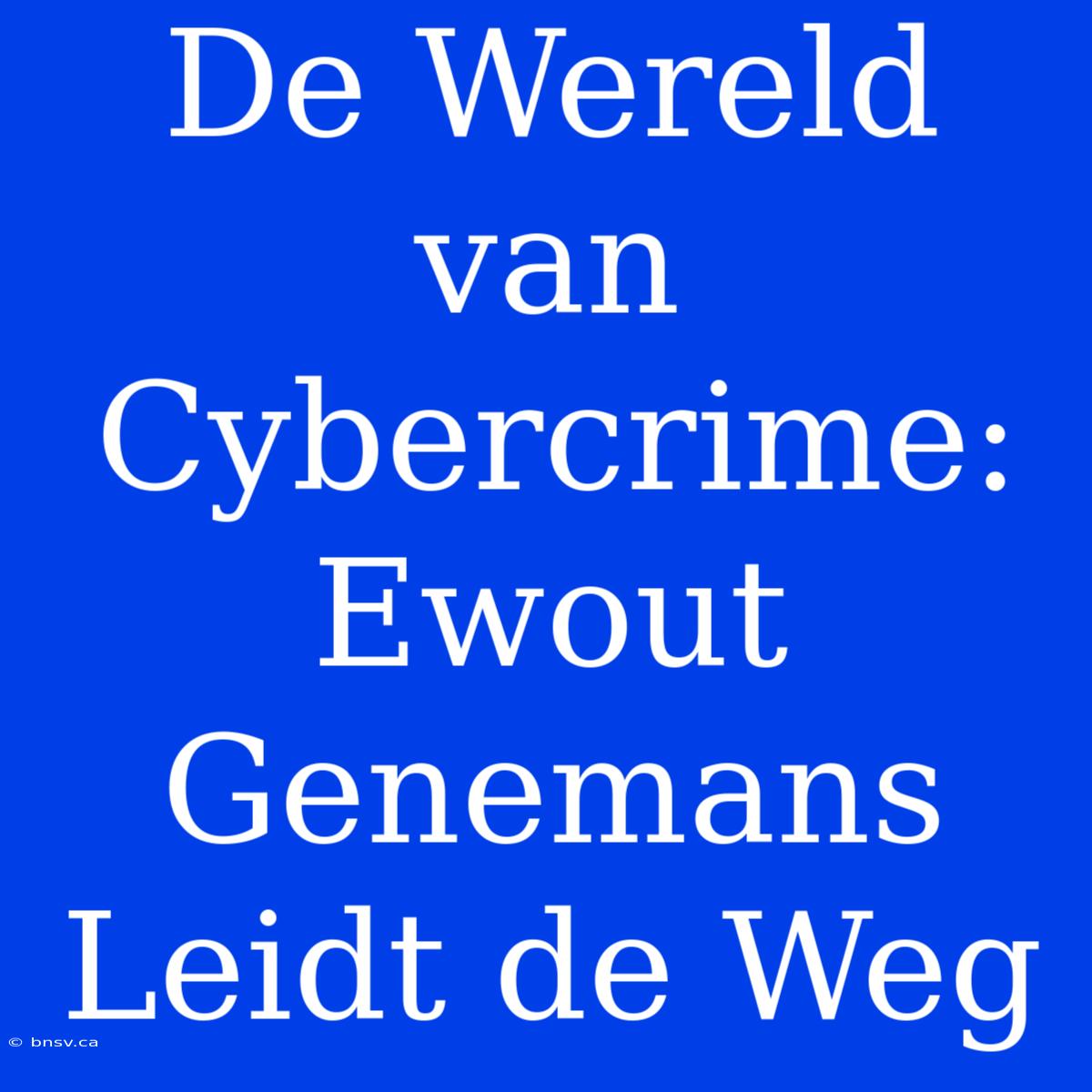 De Wereld Van Cybercrime: Ewout Genemans Leidt De Weg