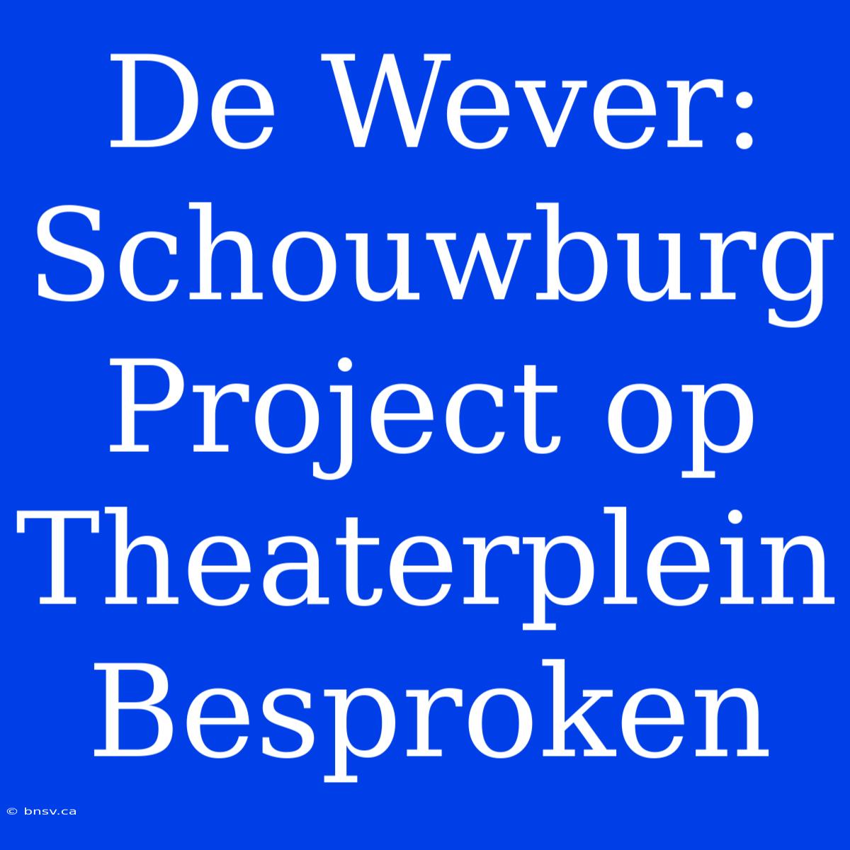 De Wever: Schouwburg Project Op Theaterplein Besproken