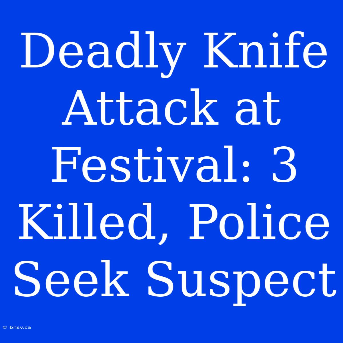 Deadly Knife Attack At Festival: 3 Killed, Police Seek Suspect