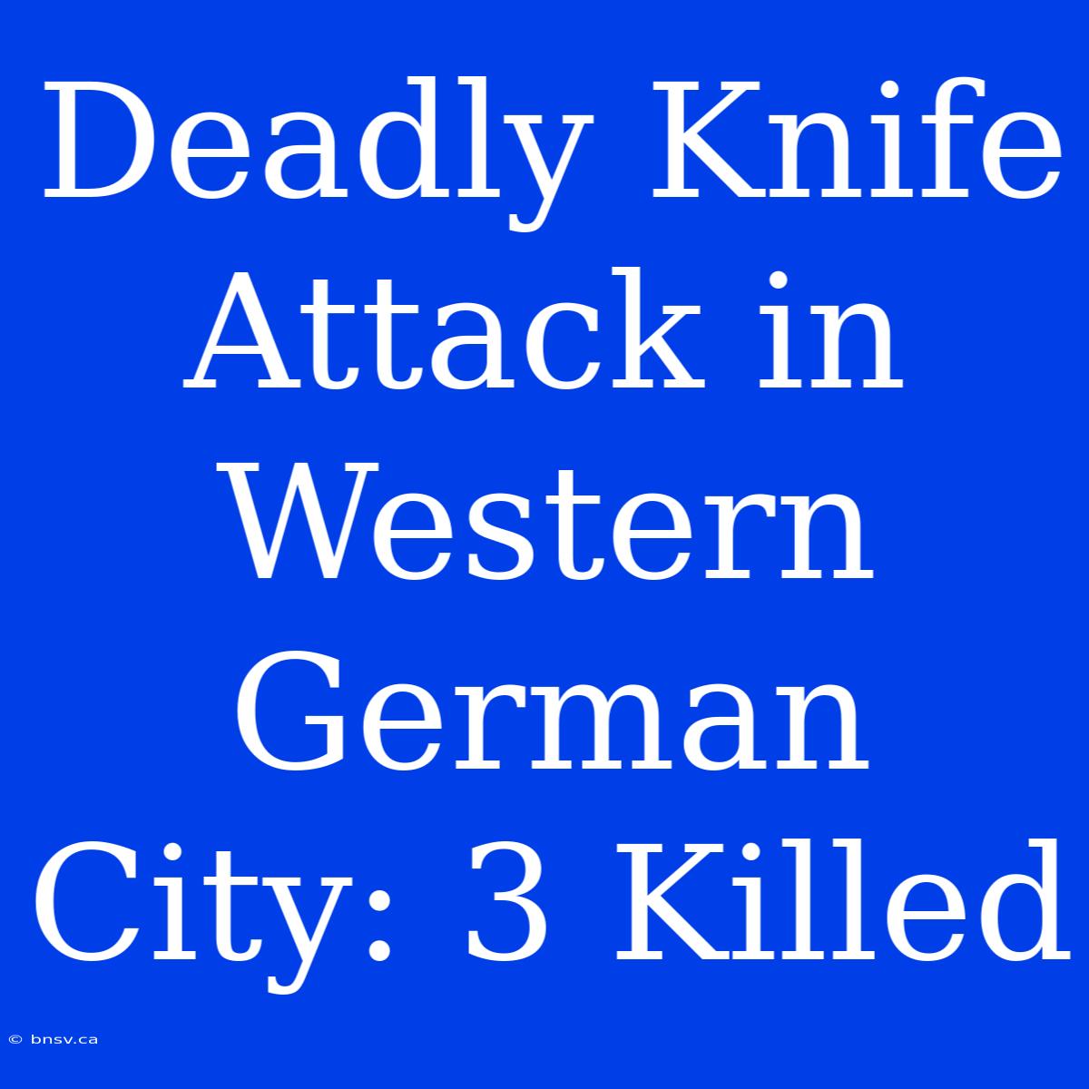 Deadly Knife Attack In Western German City: 3 Killed