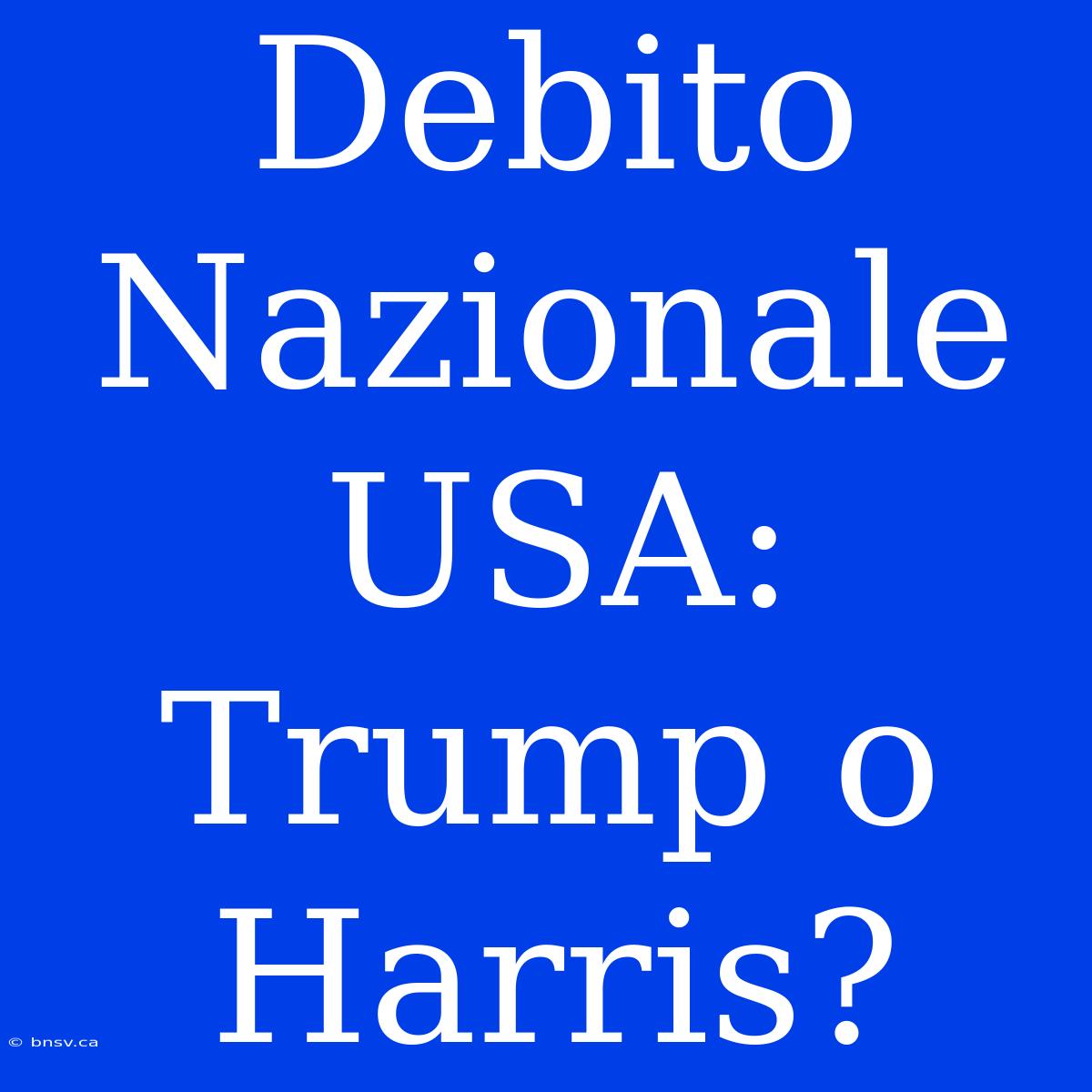 Debito Nazionale USA: Trump O Harris?