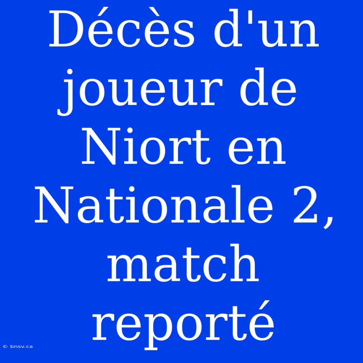 Décès D'un Joueur De Niort En Nationale 2, Match Reporté