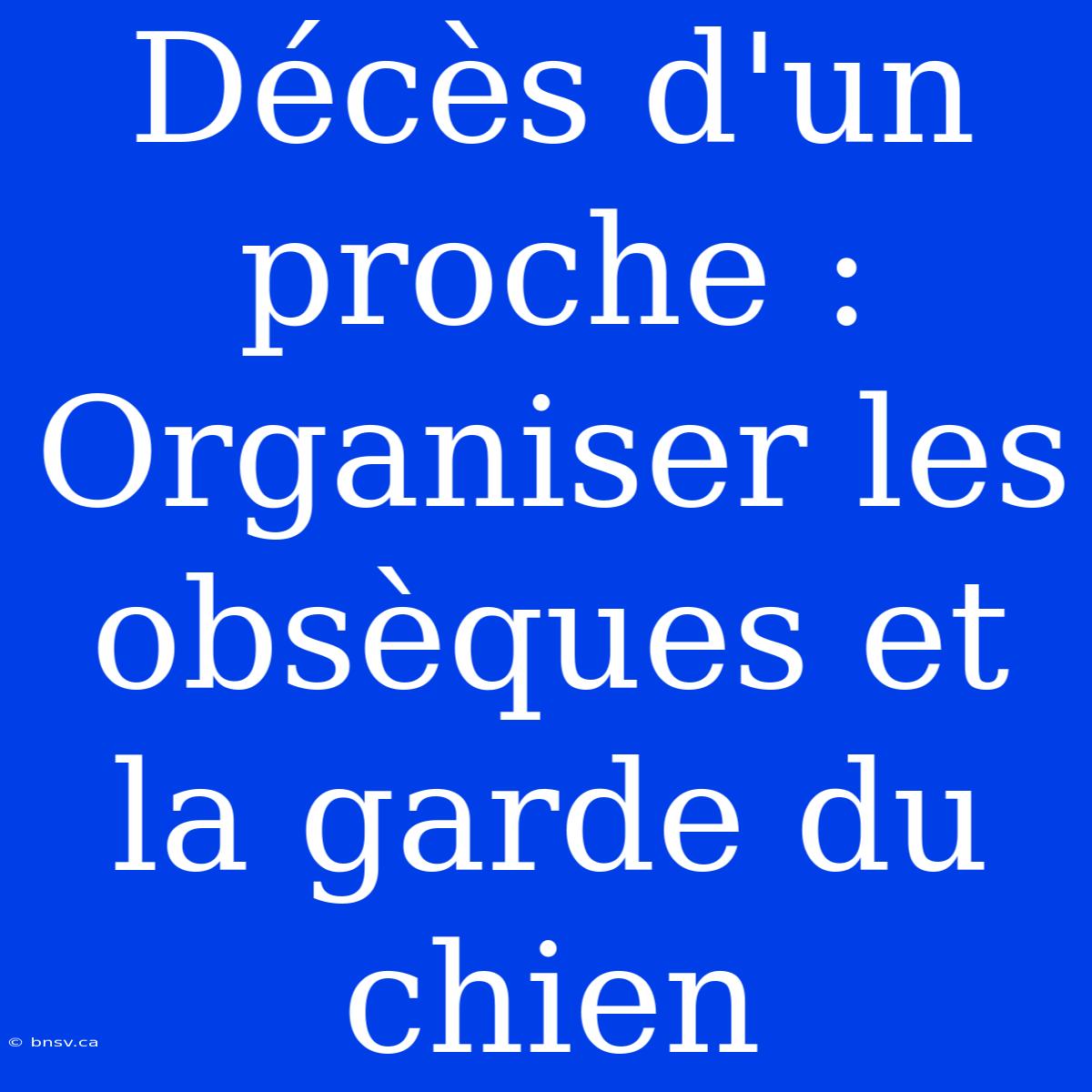 Décès D'un Proche : Organiser Les Obsèques Et La Garde Du Chien