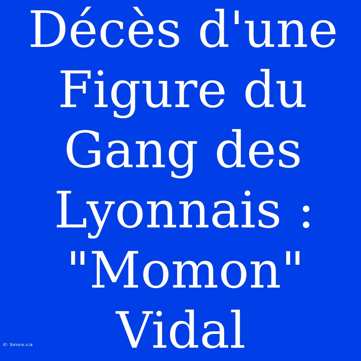 Décès D'une Figure Du Gang Des Lyonnais : 