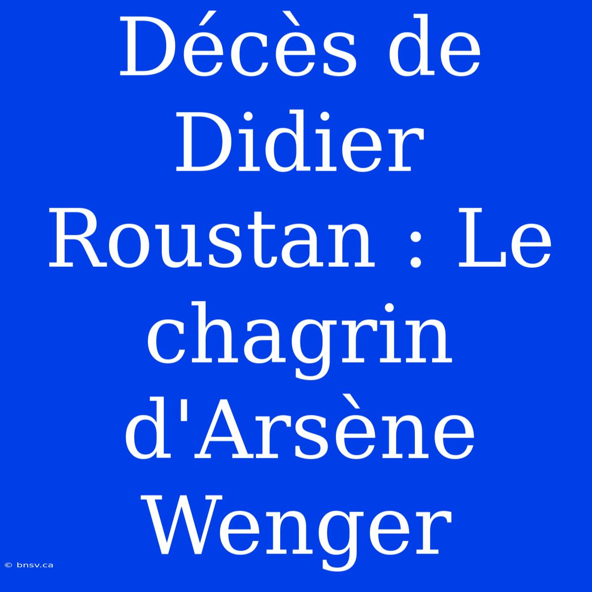 Décès De Didier Roustan : Le Chagrin D'Arsène Wenger