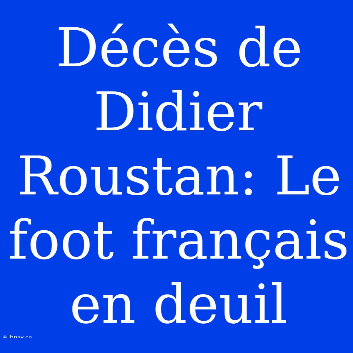 Décès De Didier Roustan: Le Foot Français En Deuil