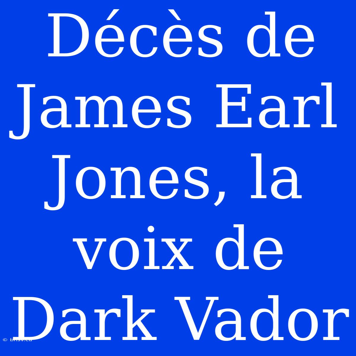 Décès De James Earl Jones, La Voix De Dark Vador