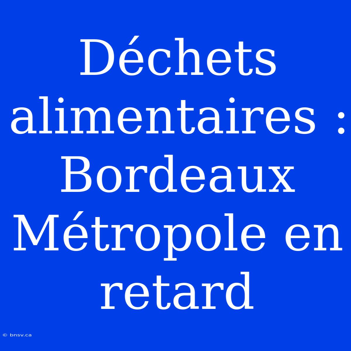 Déchets Alimentaires : Bordeaux Métropole En Retard