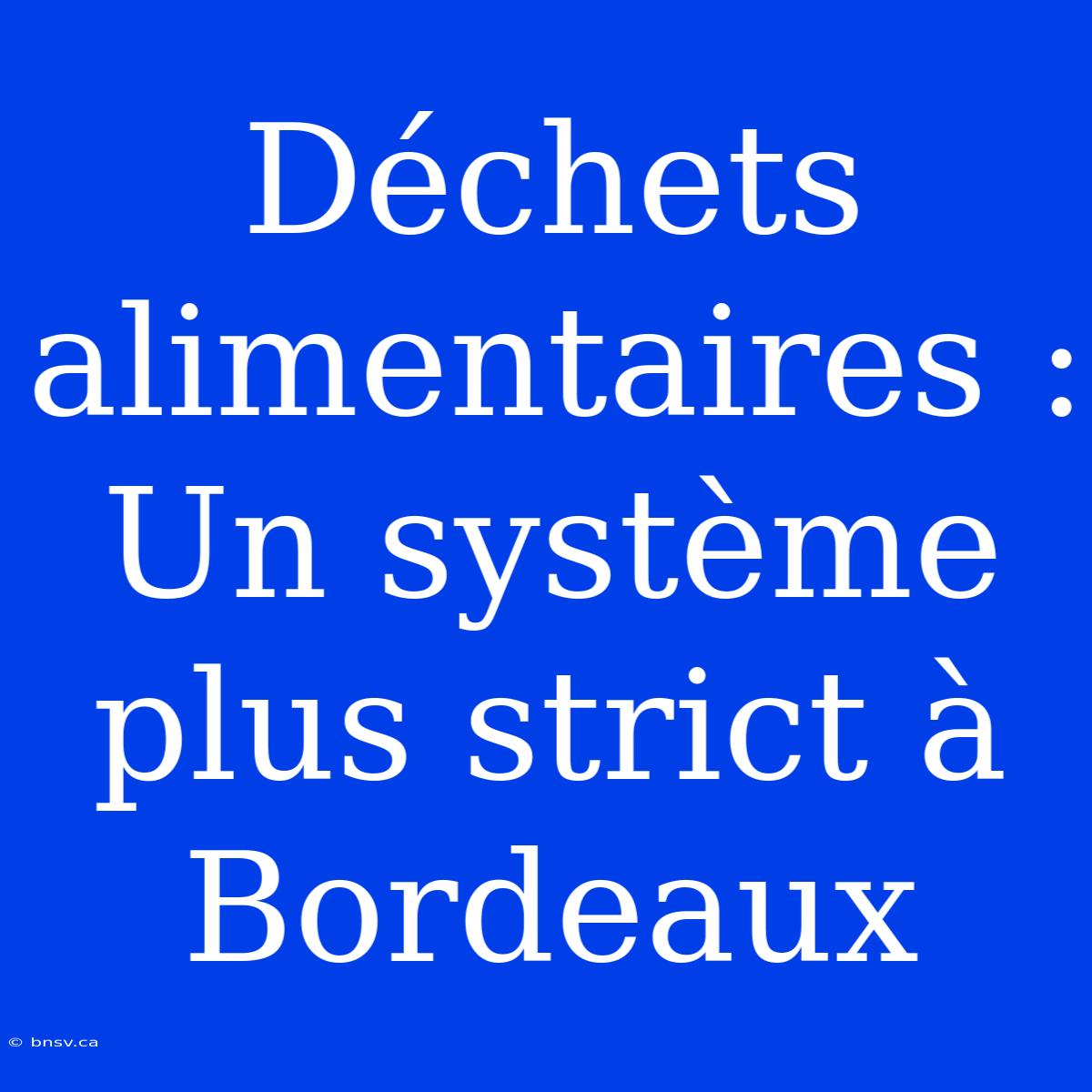 Déchets Alimentaires : Un Système Plus Strict À Bordeaux