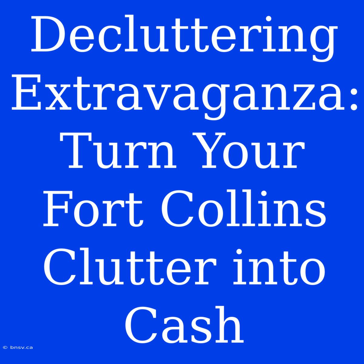 Decluttering Extravaganza: Turn Your Fort Collins Clutter Into Cash