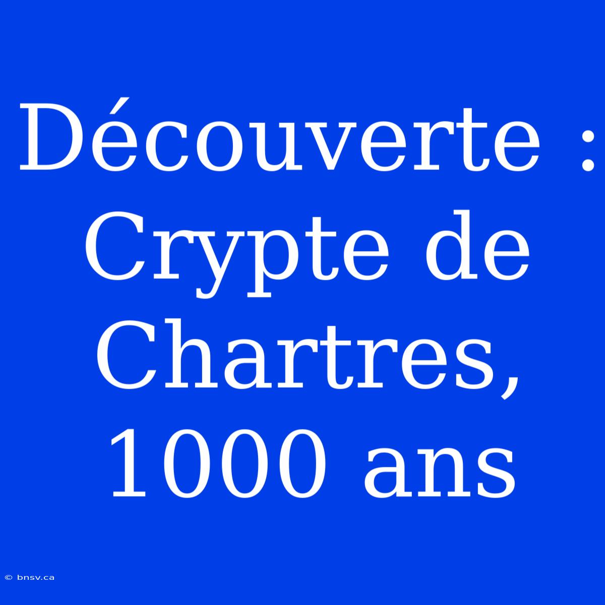 Découverte : Crypte De Chartres, 1000 Ans