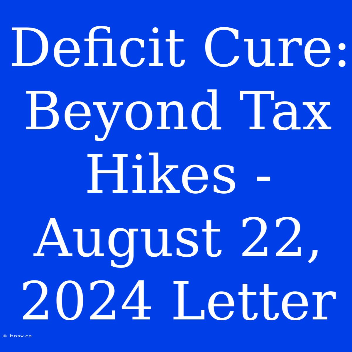 Deficit Cure: Beyond Tax Hikes - August 22, 2024 Letter