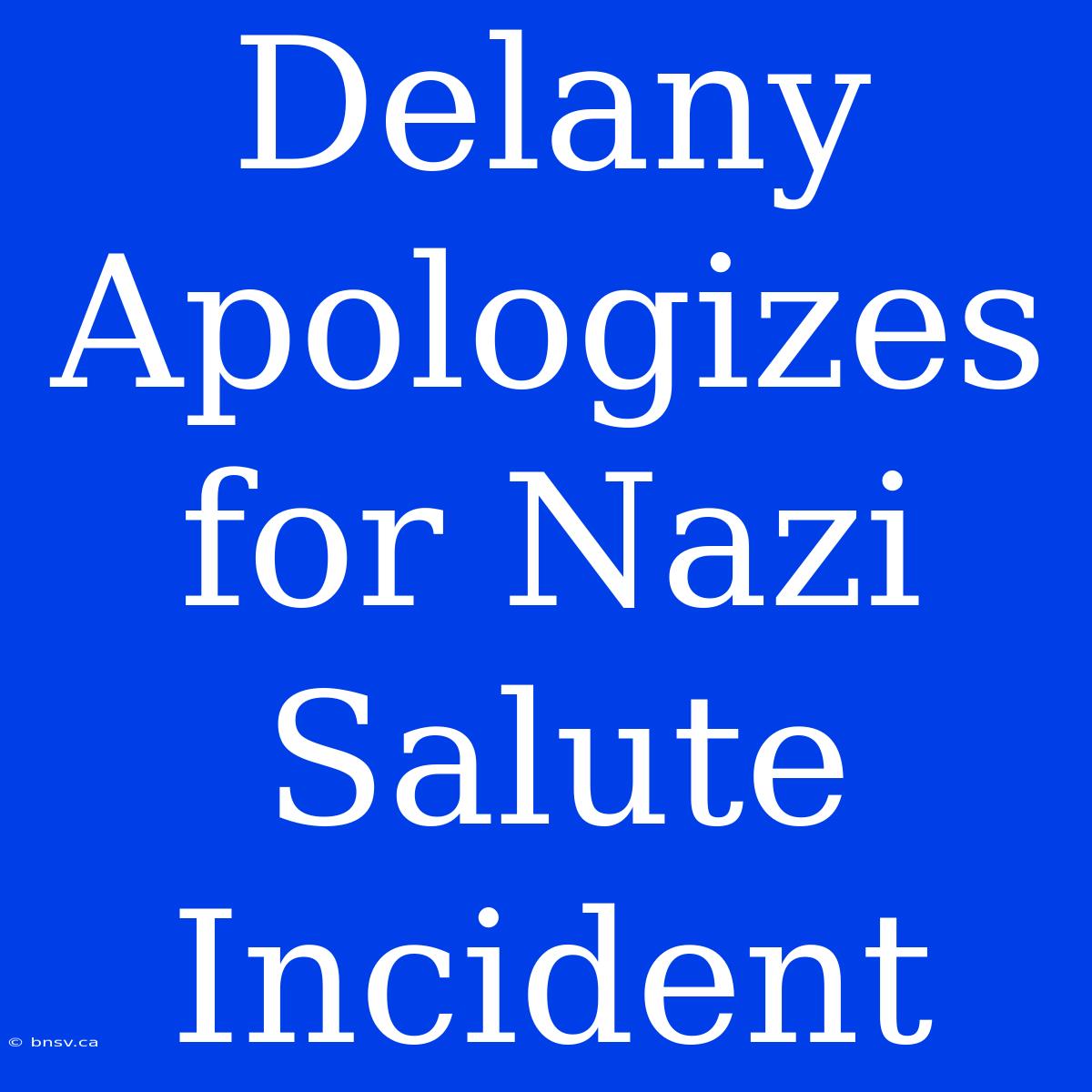 Delany Apologizes For Nazi Salute Incident