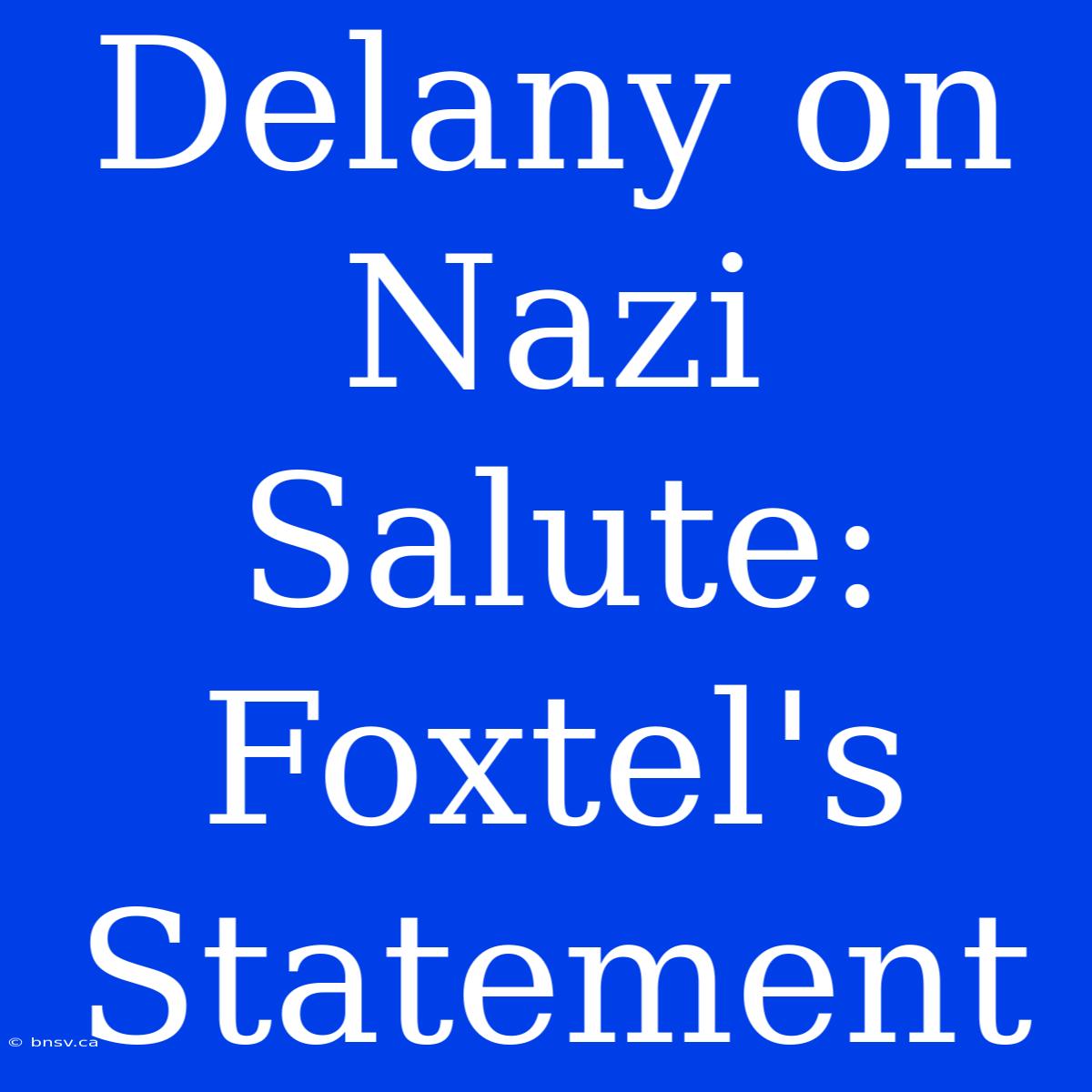 Delany On Nazi Salute: Foxtel's Statement