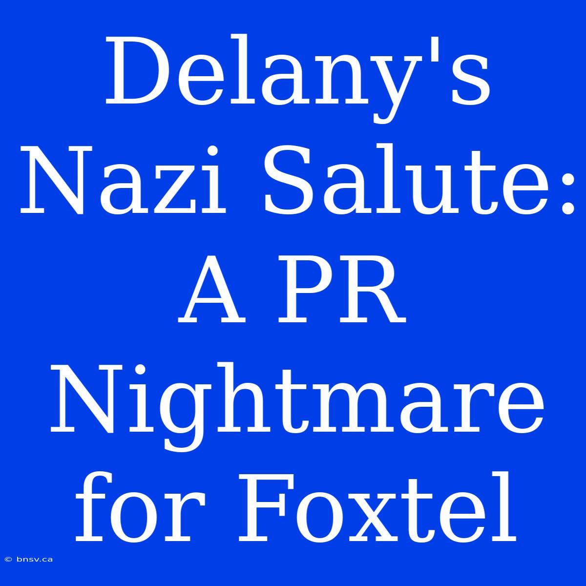 Delany's Nazi Salute: A PR Nightmare For Foxtel