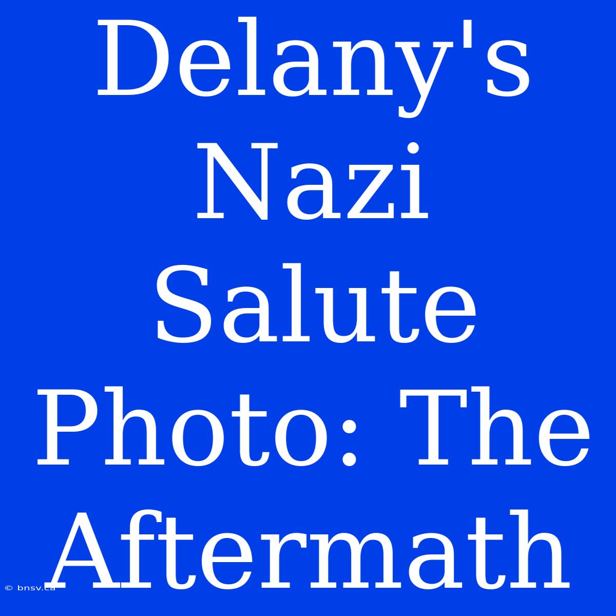 Delany's Nazi Salute Photo: The Aftermath