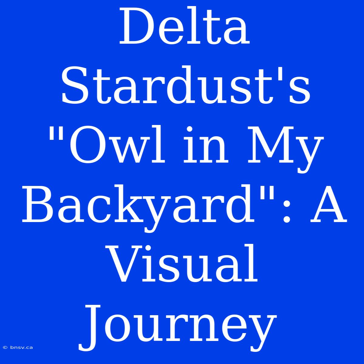 Delta Stardust's 