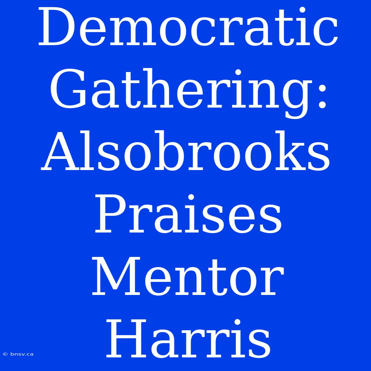 Democratic Gathering: Alsobrooks Praises Mentor Harris