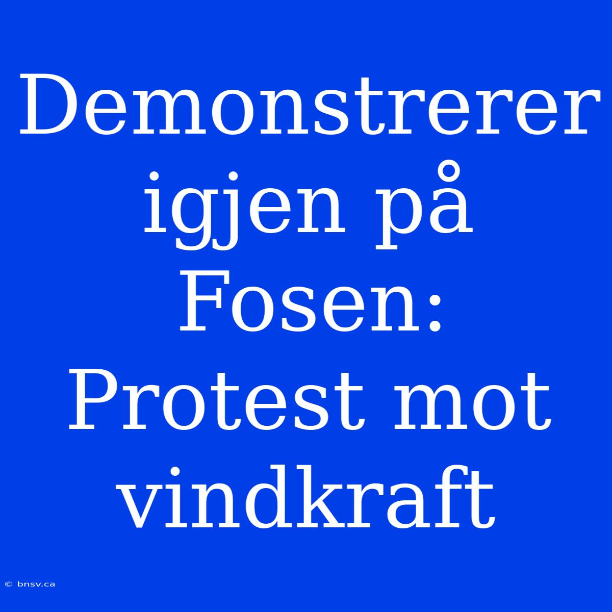 Demonstrerer Igjen På Fosen: Protest Mot Vindkraft