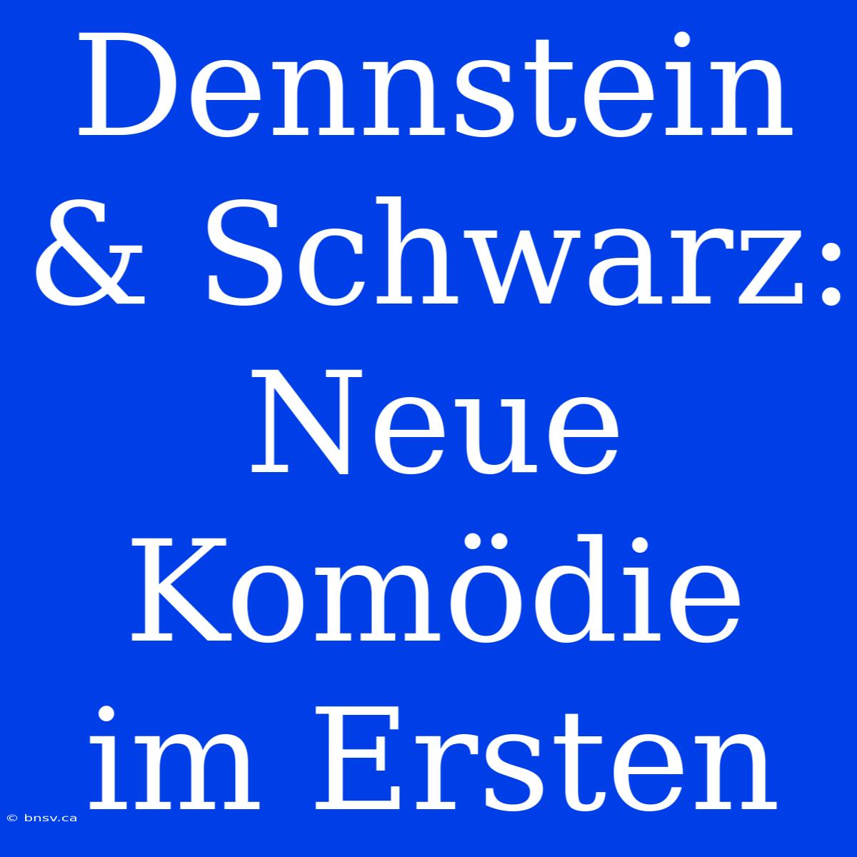 Dennstein & Schwarz: Neue Komödie Im Ersten