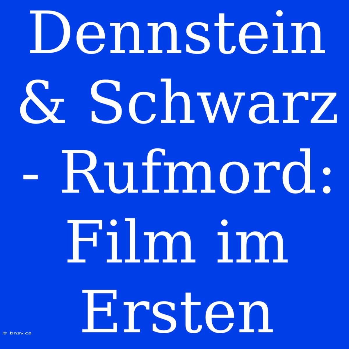 Dennstein & Schwarz - Rufmord: Film Im Ersten