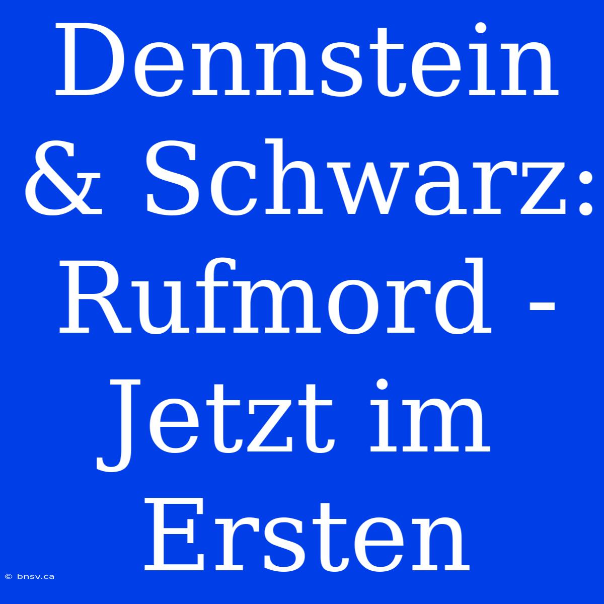 Dennstein & Schwarz: Rufmord - Jetzt Im Ersten