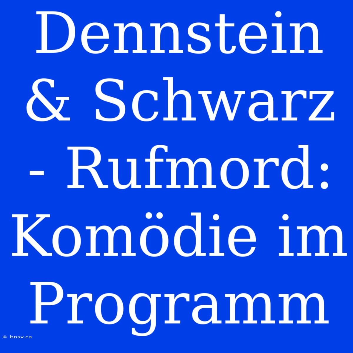 Dennstein & Schwarz - Rufmord: Komödie Im Programm