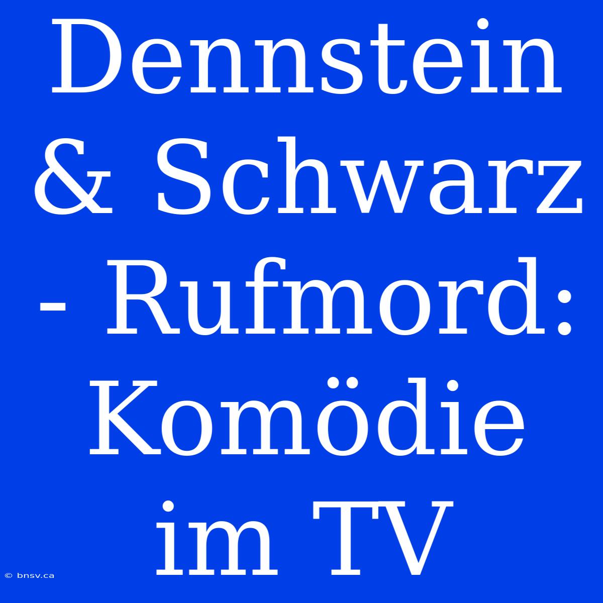 Dennstein & Schwarz - Rufmord: Komödie Im TV