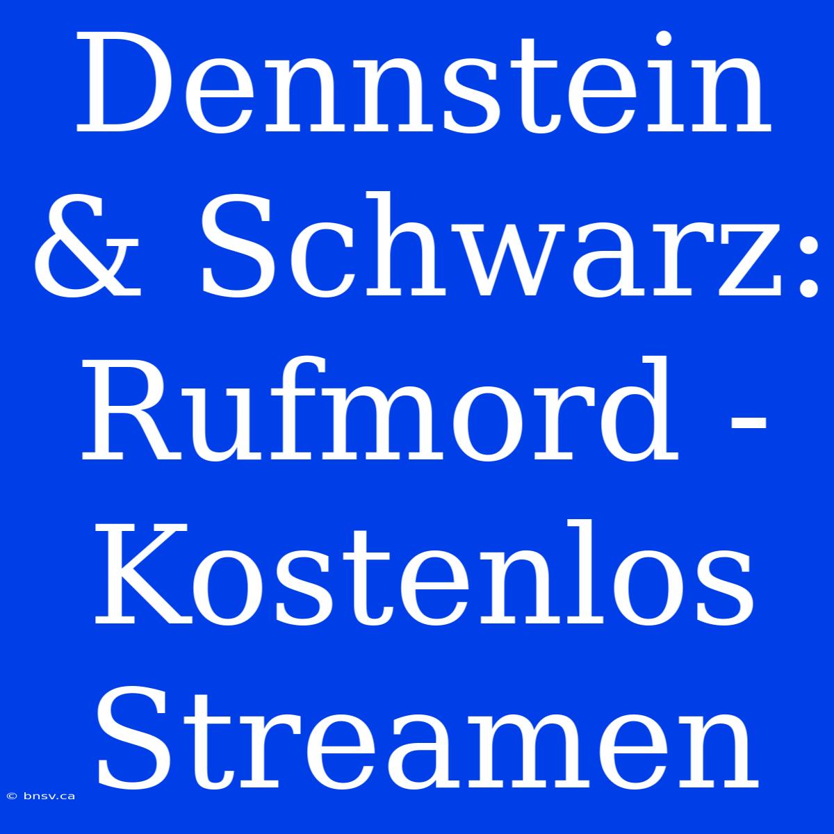 Dennstein & Schwarz: Rufmord - Kostenlos Streamen