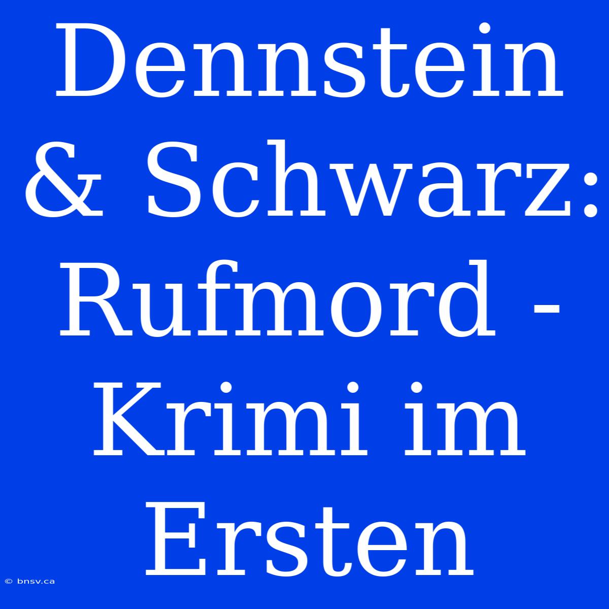 Dennstein & Schwarz: Rufmord - Krimi Im Ersten