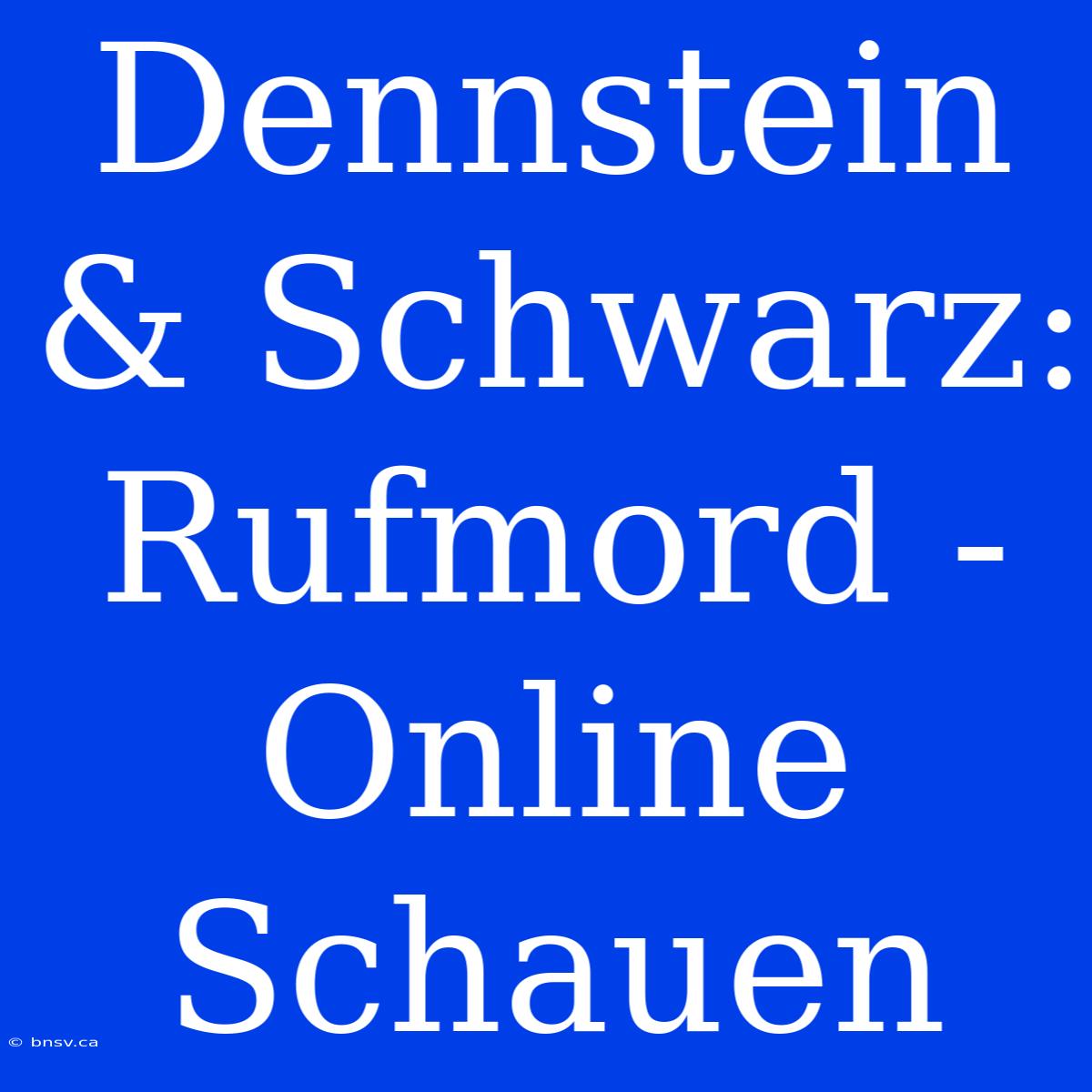 Dennstein & Schwarz: Rufmord - Online Schauen