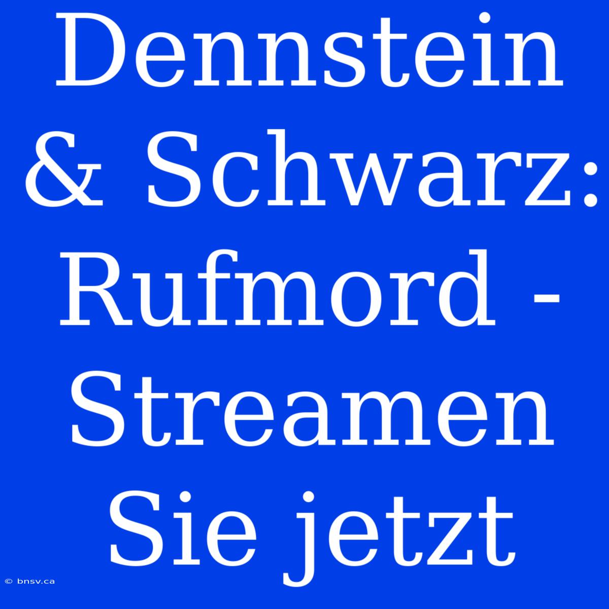 Dennstein & Schwarz: Rufmord - Streamen Sie Jetzt