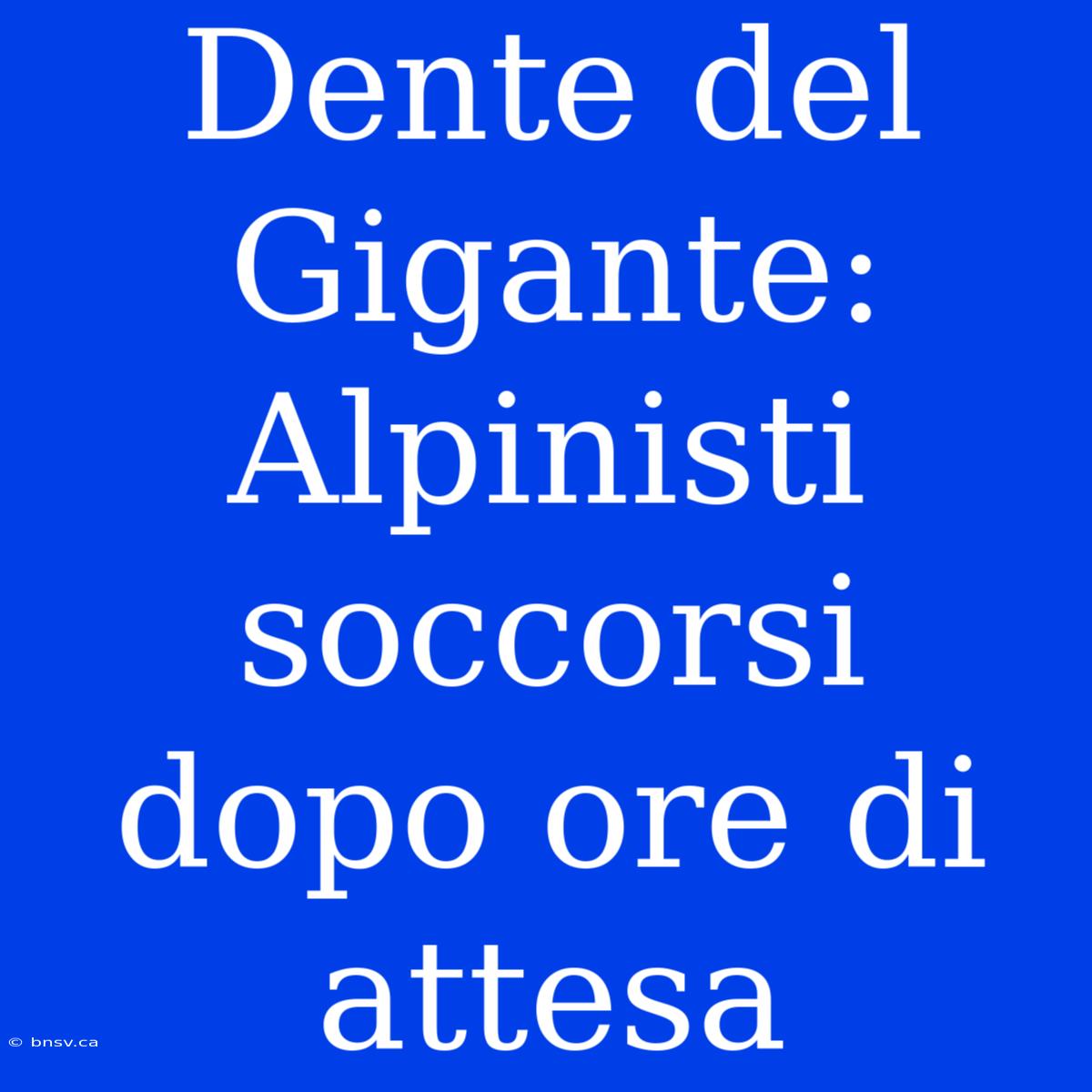 Dente Del Gigante: Alpinisti Soccorsi Dopo Ore Di Attesa