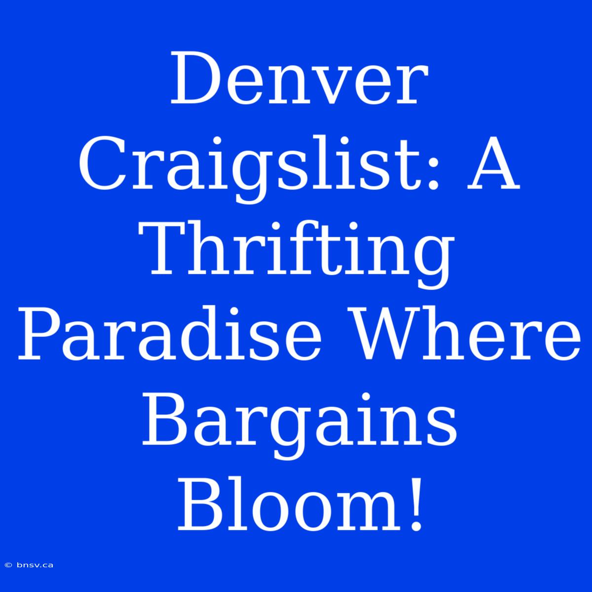 Denver Craigslist: A Thrifting Paradise Where Bargains Bloom!