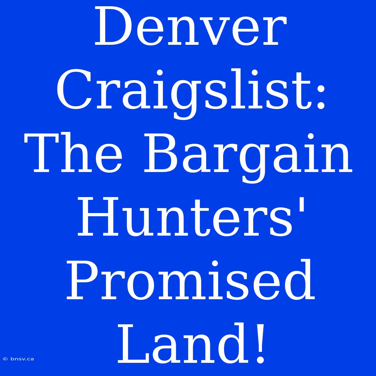 Denver Craigslist: The Bargain Hunters' Promised Land!