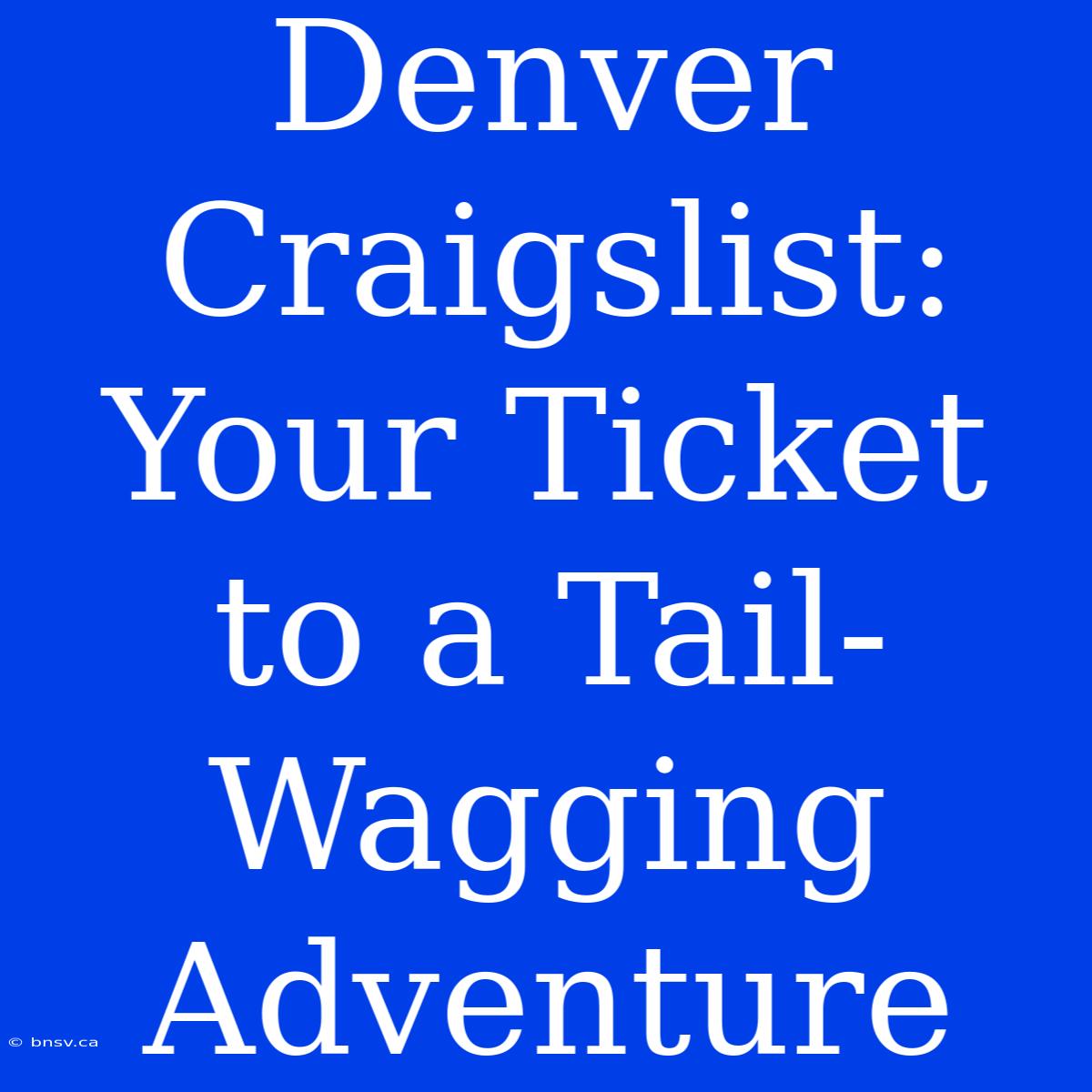 Denver Craigslist: Your Ticket To A Tail-Wagging Adventure