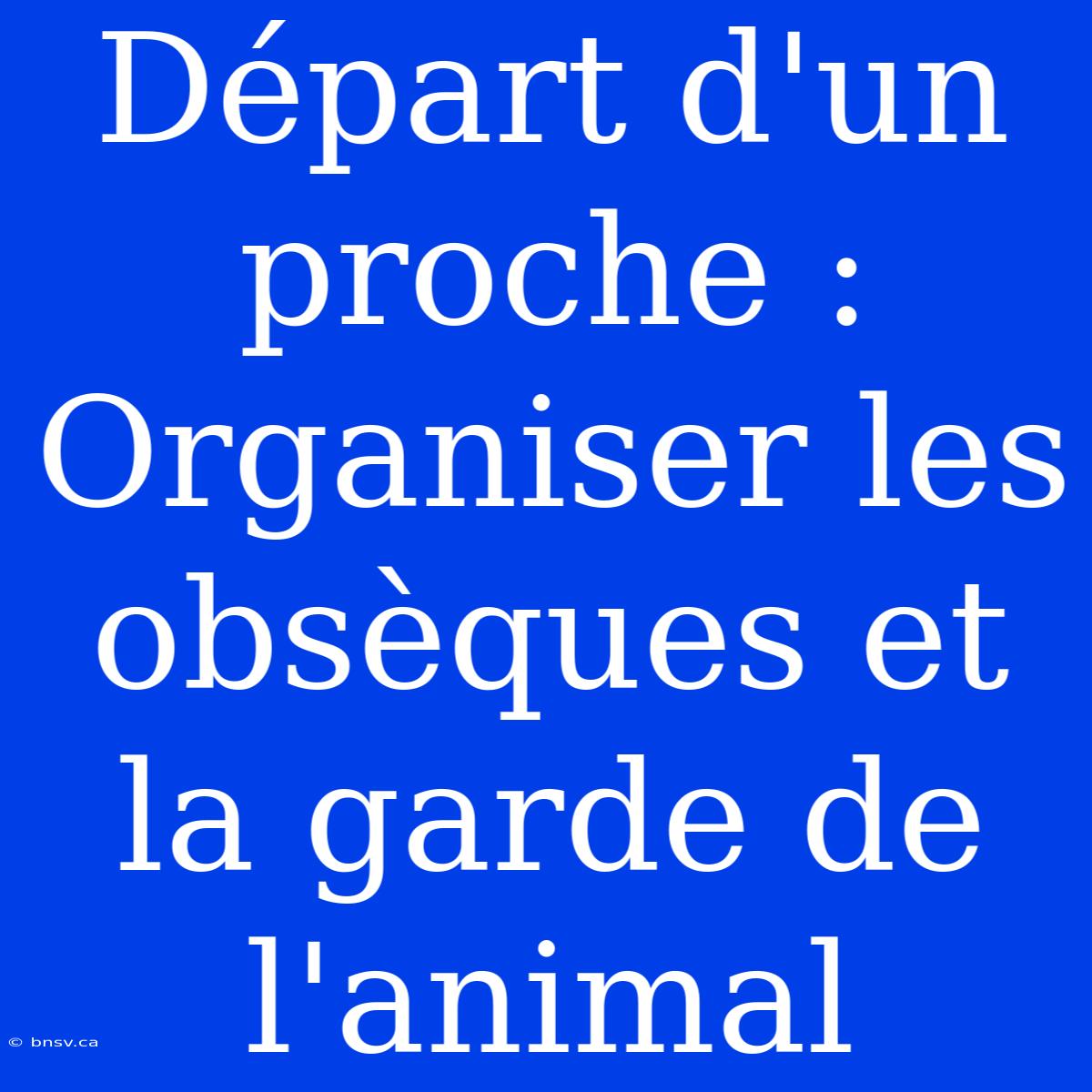 Départ D'un Proche : Organiser Les Obsèques Et La Garde De L'animal