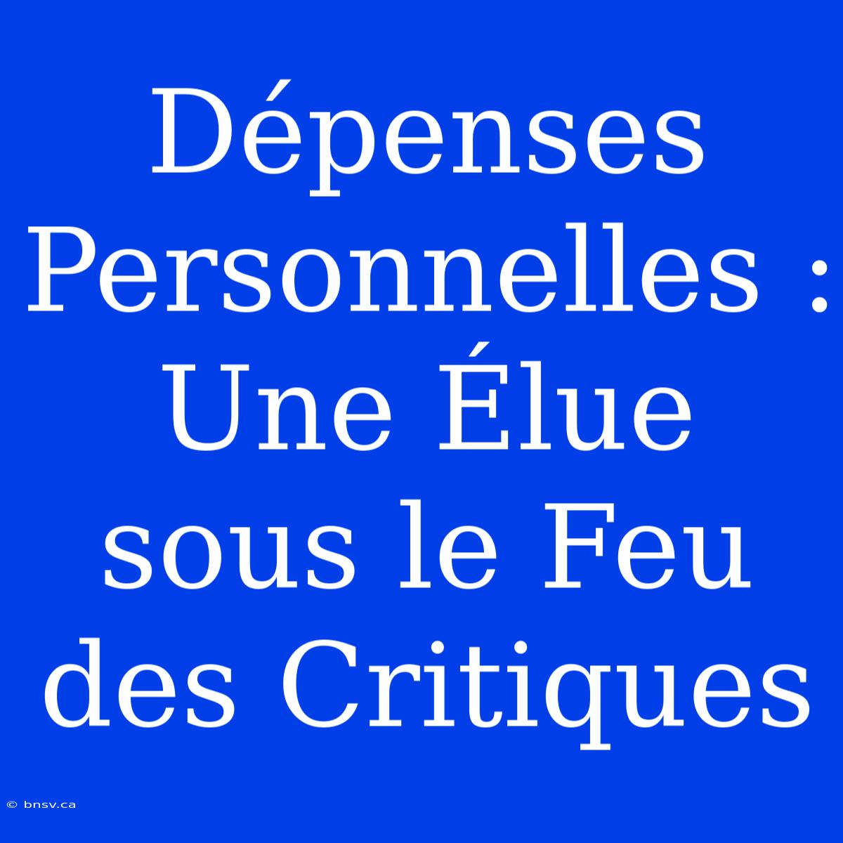 Dépenses Personnelles : Une Élue Sous Le Feu Des Critiques