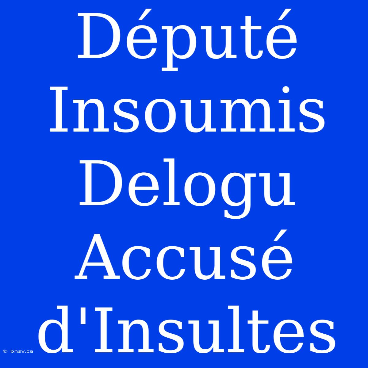 Député Insoumis Delogu Accusé D'Insultes