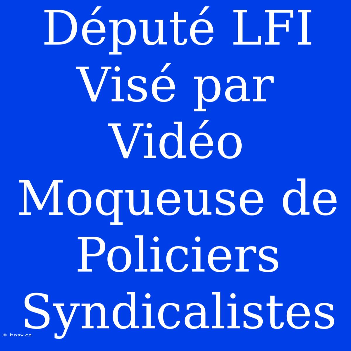 Député LFI Visé Par Vidéo Moqueuse De Policiers Syndicalistes