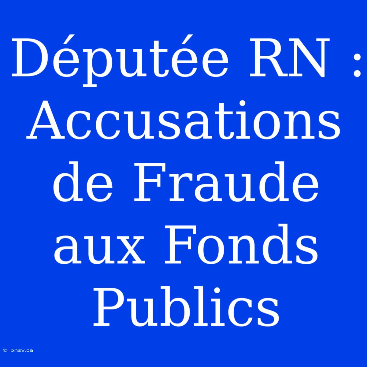 Députée RN : Accusations De Fraude Aux Fonds Publics