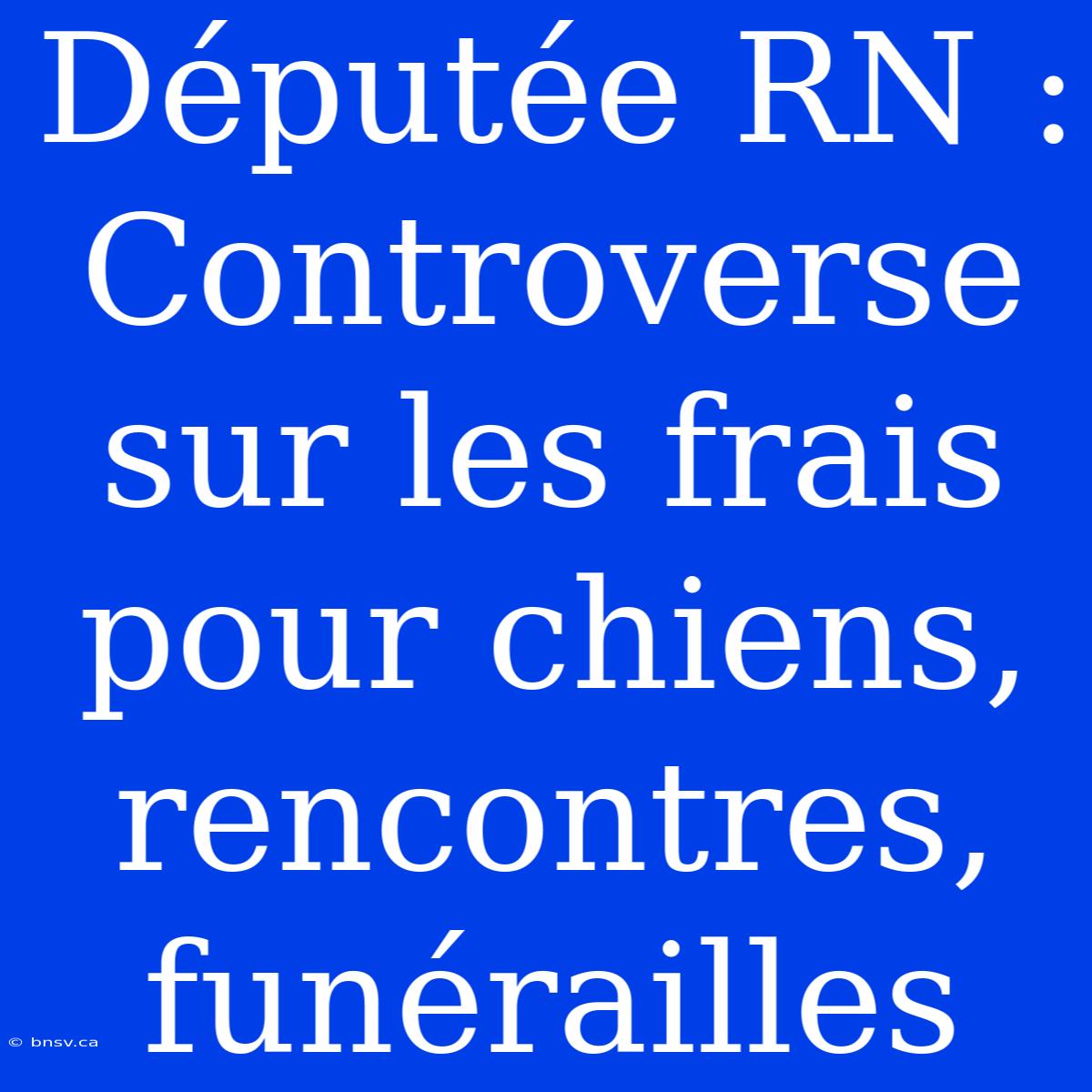 Députée RN : Controverse Sur Les Frais Pour Chiens, Rencontres, Funérailles