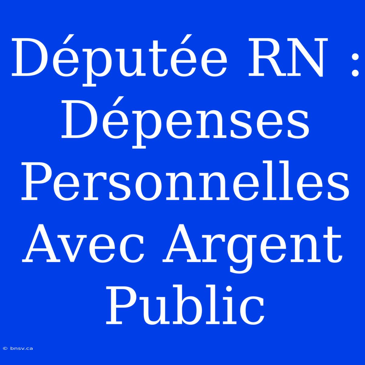 Députée RN : Dépenses Personnelles Avec Argent Public