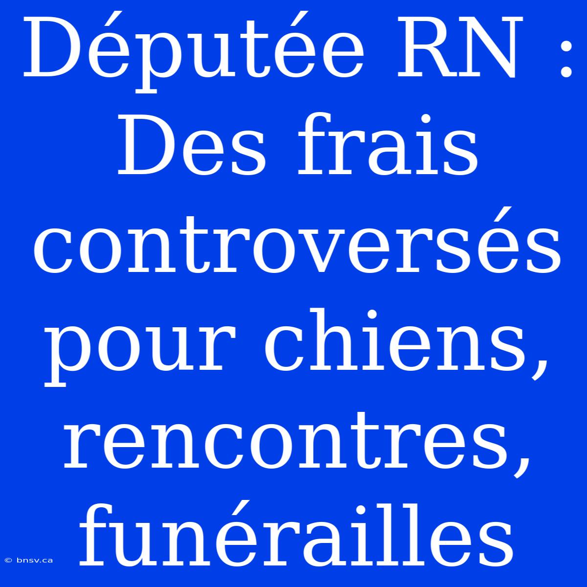 Députée RN : Des Frais Controversés Pour Chiens, Rencontres, Funérailles