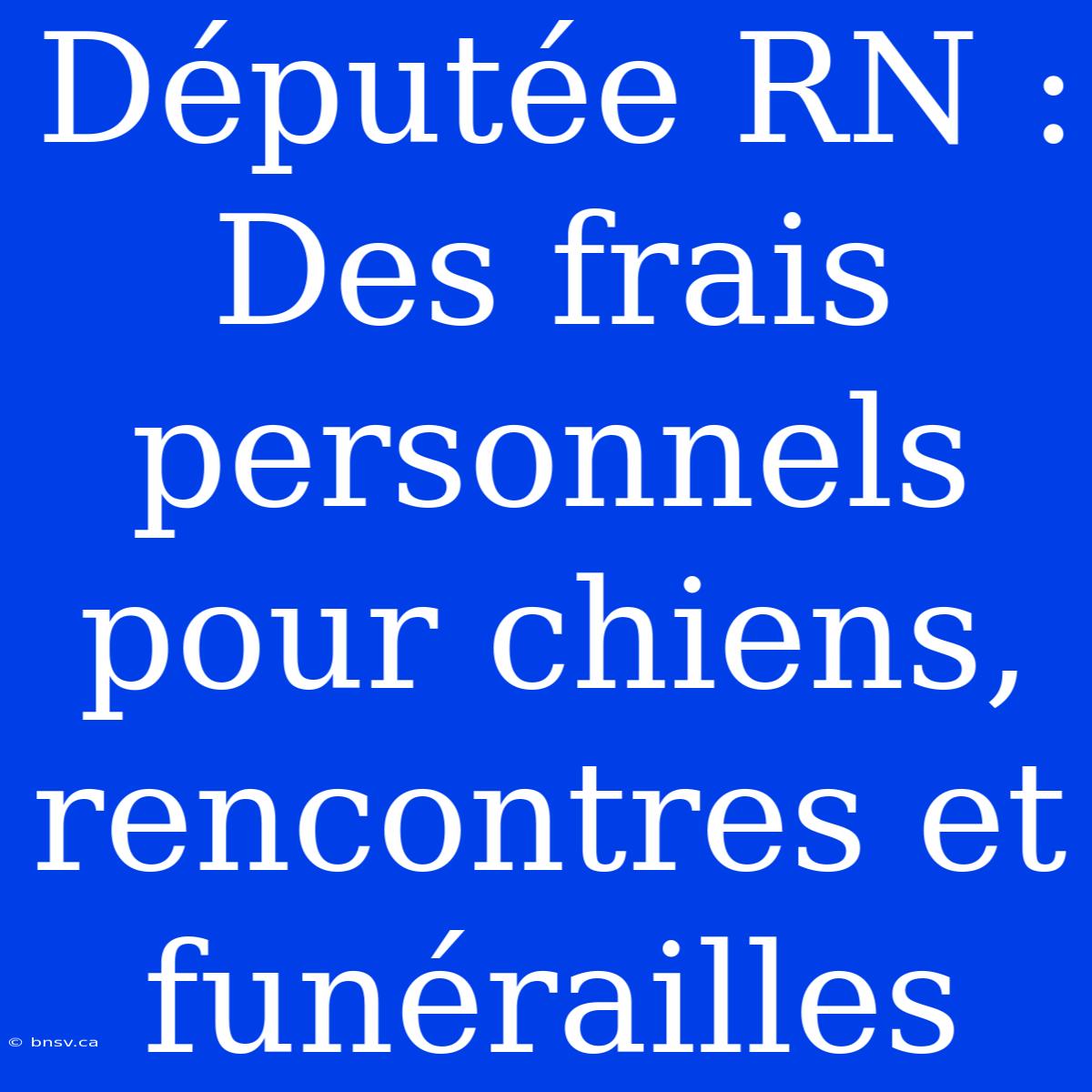 Députée RN : Des Frais Personnels Pour Chiens, Rencontres Et Funérailles