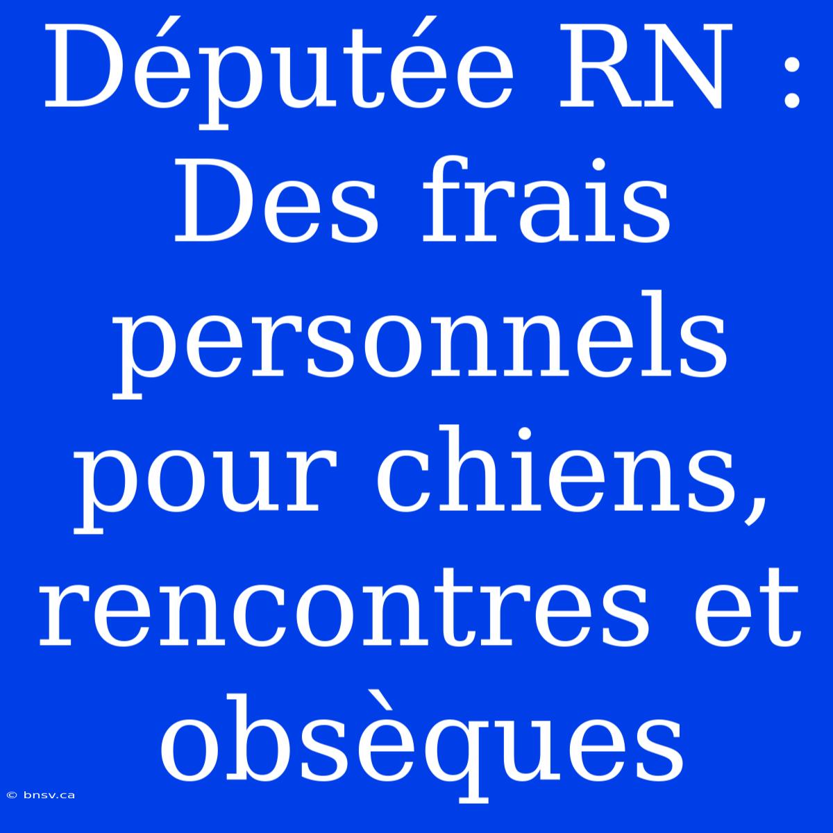 Députée RN : Des Frais Personnels Pour Chiens, Rencontres Et Obsèques