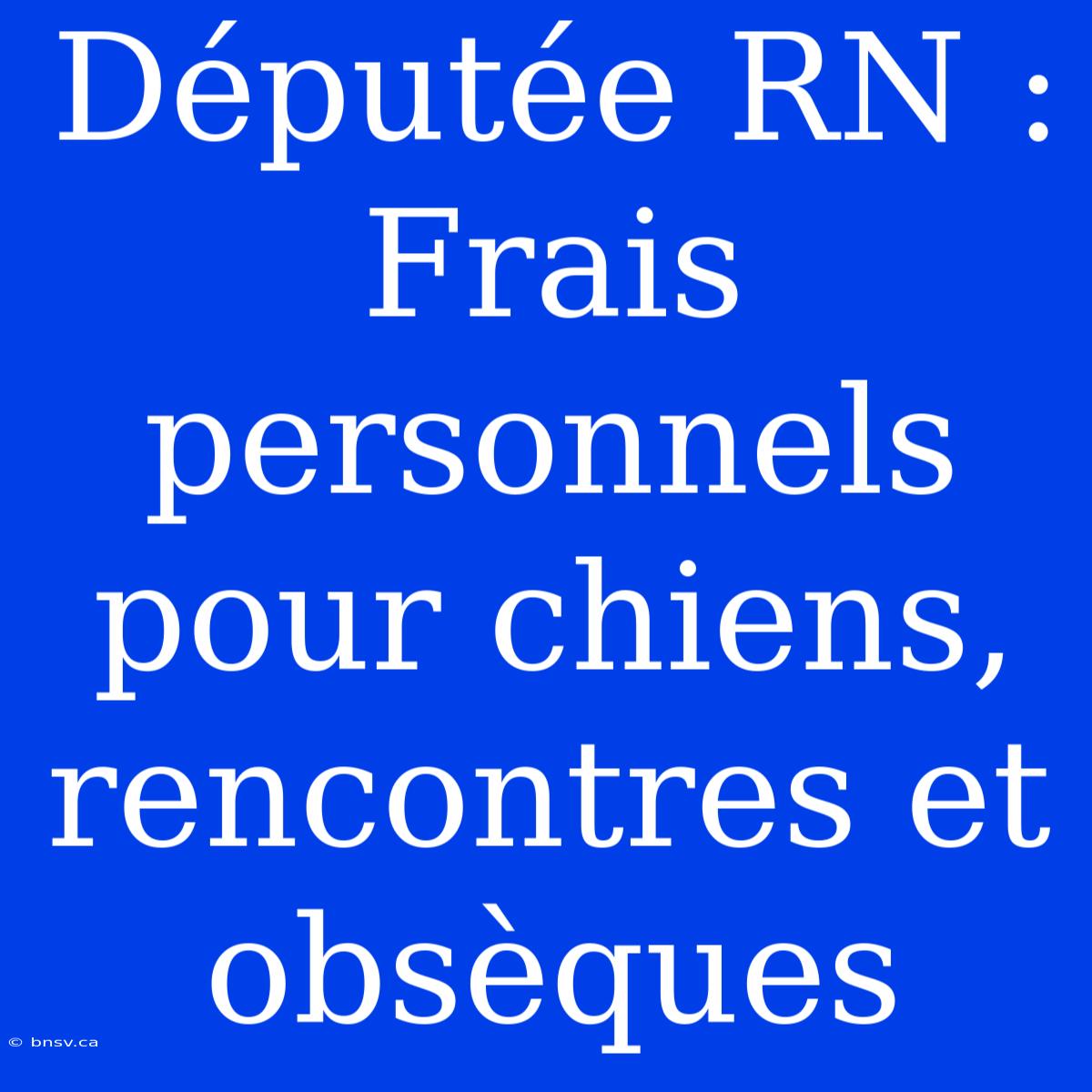 Députée RN : Frais Personnels Pour Chiens, Rencontres Et Obsèques