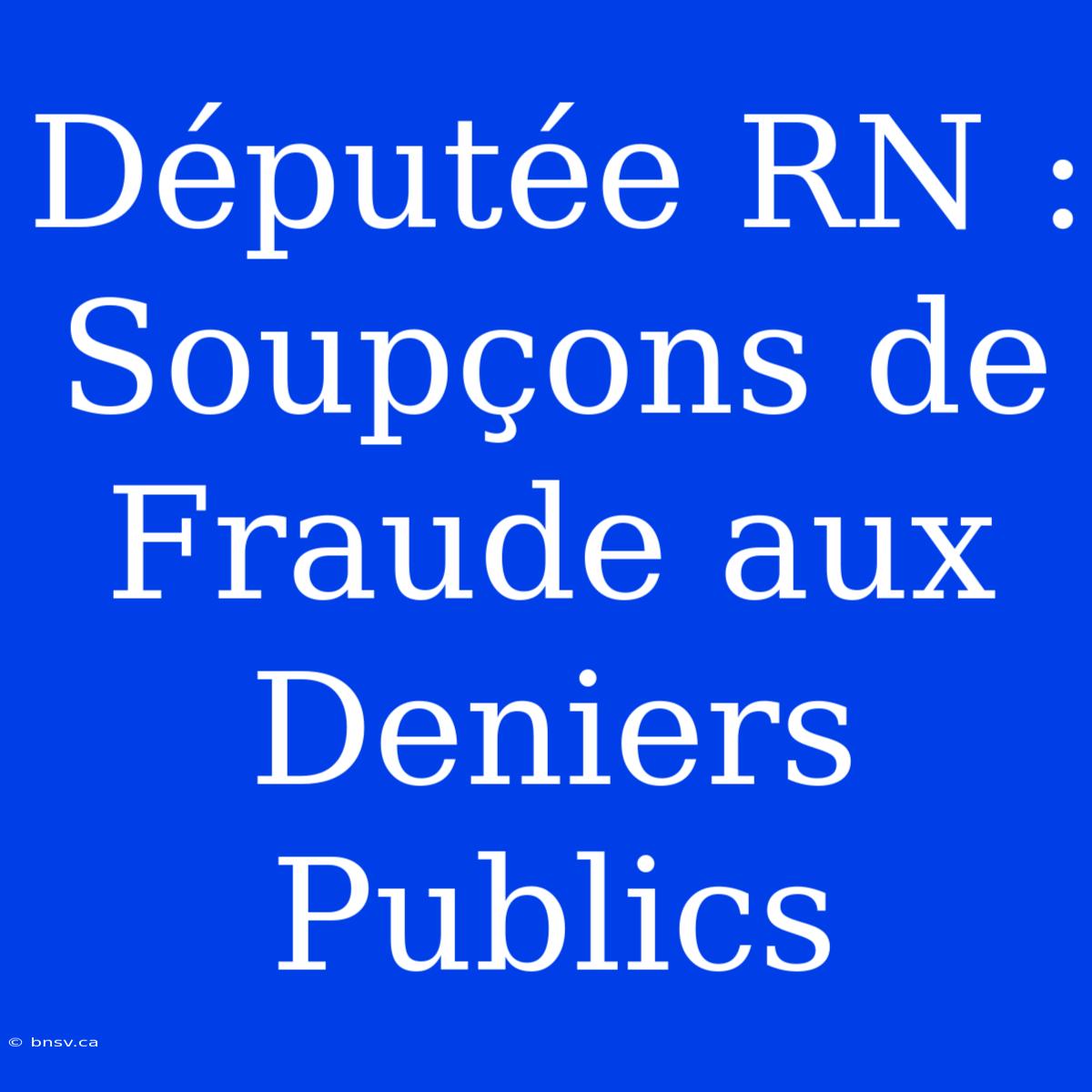 Députée RN : Soupçons De Fraude Aux Deniers Publics