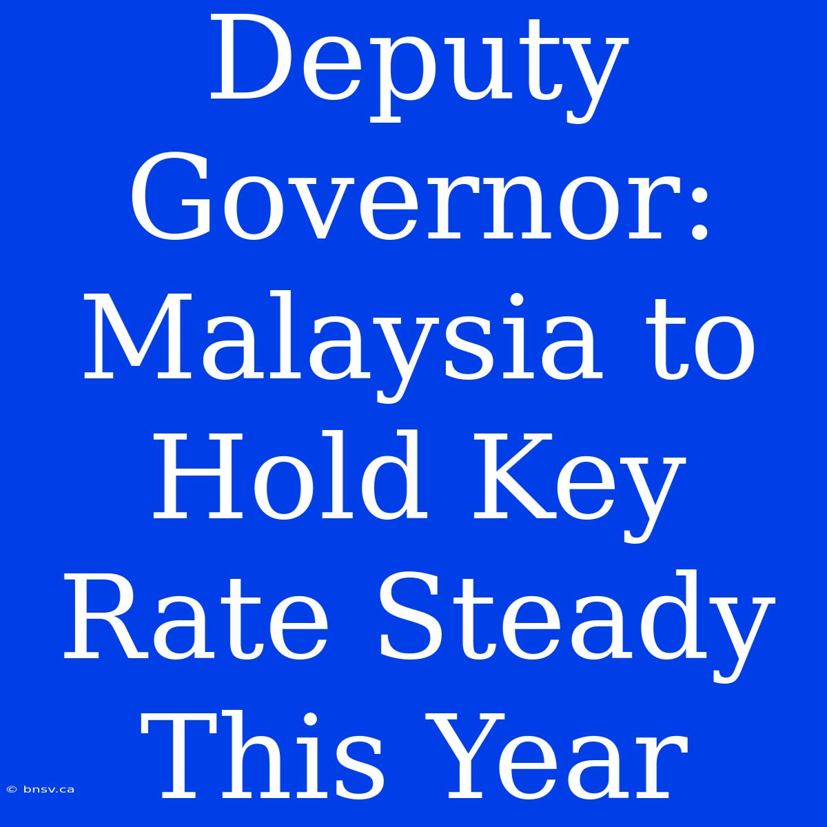 Deputy Governor: Malaysia To Hold Key Rate Steady This Year